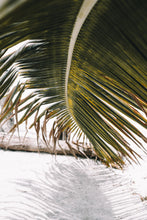 Cargar imagen en el visor de la galería, Tropical, Panama