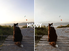 Cargar imagen en el visor de la galería, THE TRAVEL COLLECTION (DESKTOP)