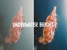 Cargar imagen en el visor de la galería, THE OCEAN COLLECTION (DESKTOP)