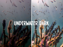 Cargar imagen en el visor de la galería, THE OCEAN COLLECTION (DESKTOP)