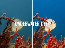 Cargar imagen en el visor de la galería, THE OCEAN COLLECTION (DESKTOP)