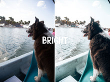 Cargar imagen en el visor de la galería, THE LIFESTYLE COLLECTION (DESKTOP)