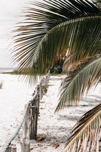 Cargar imagen en el visor de la galería, Punta Chame, Panama