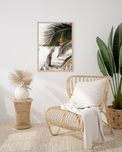 Cargar imagen en el visor de la galería, Punta Chame, Panama