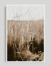 Cargar imagen en el visor de la galería, Pastizales, Peru