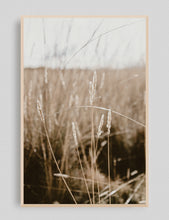 Cargar imagen en el visor de la galería, Pastizales, Peru