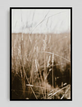 Cargar imagen en el visor de la galería, Pastizales, Peru