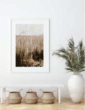 Cargar imagen en el visor de la galería, Pastizales, Peru