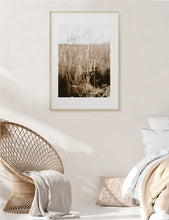 Cargar imagen en el visor de la galería, Pastizales, Peru