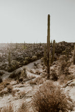 Cargar imagen en el visor de la galería, Valle de los Cirios, Baja California