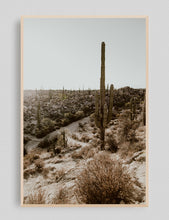 Cargar imagen en el visor de la galería, Valle de los Cirios, Baja California