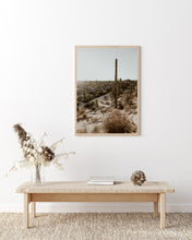 Cargar imagen en el visor de la galería, Valle de los Cirios, Baja California