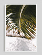 Cargar imagen en el visor de la galería, Tropical, Panama
