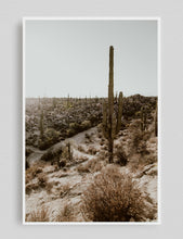 Cargar imagen en el visor de la galería, Valle de los Cirios, Baja California

