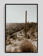 Cargar imagen en el visor de la galería, Valle de los Cirios, Baja California

